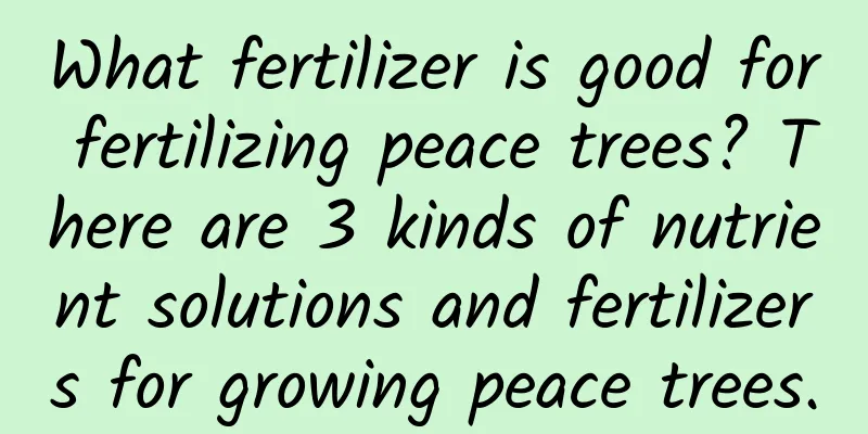 What fertilizer is good for fertilizing peace trees? There are 3 kinds of nutrient solutions and fertilizers for growing peace trees.