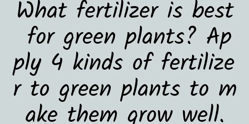 What fertilizer is best for green plants? Apply 4 kinds of fertilizer to green plants to make them grow well.