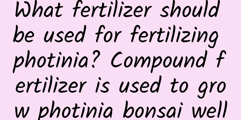 What fertilizer should be used for fertilizing photinia? Compound fertilizer is used to grow photinia bonsai well
