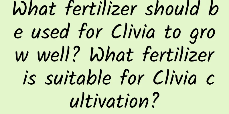 What fertilizer should be used for Clivia to grow well? What fertilizer is suitable for Clivia cultivation?