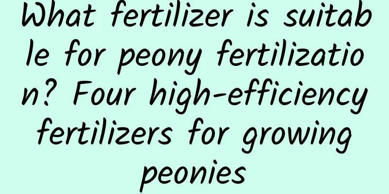 What fertilizer is suitable for peony fertilization? Four high-efficiency fertilizers for growing peonies