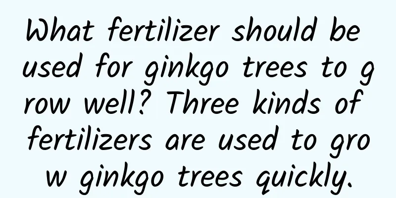 What fertilizer should be used for ginkgo trees to grow well? Three kinds of fertilizers are used to grow ginkgo trees quickly.