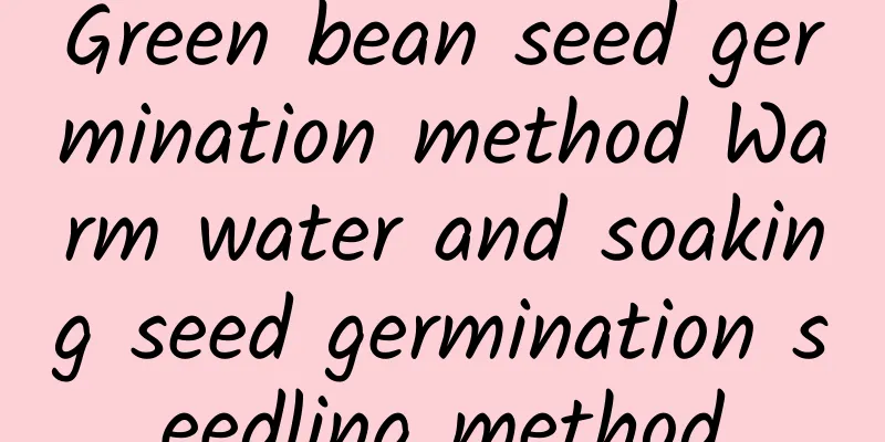 Green bean seed germination method Warm water and soaking seed germination seedling method