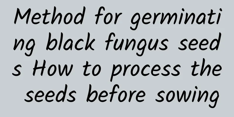 Method for germinating black fungus seeds How to process the seeds before sowing
