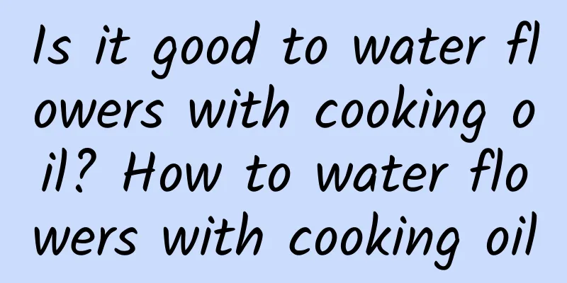 Is it good to water flowers with cooking oil? How to water flowers with cooking oil