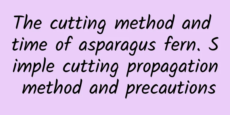 The cutting method and time of asparagus fern. Simple cutting propagation method and precautions
