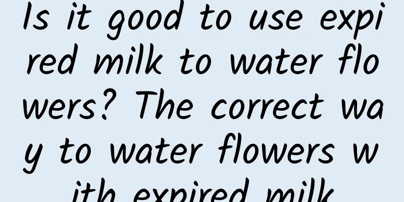 Is it good to use expired milk to water flowers? The correct way to water flowers with expired milk