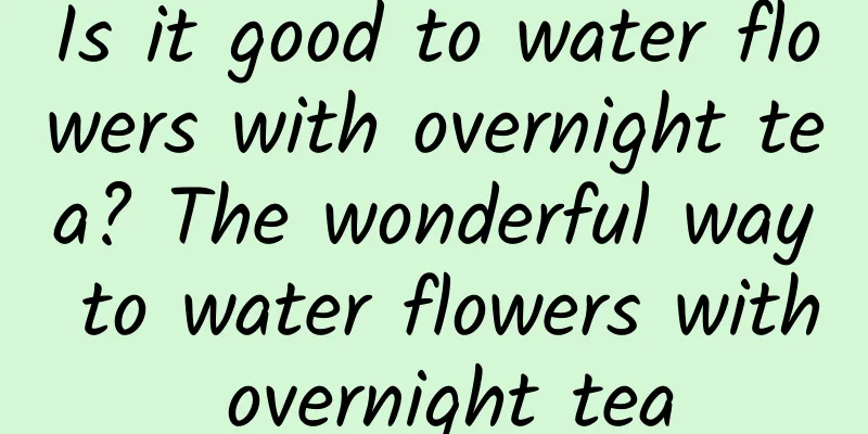 Is it good to water flowers with overnight tea? The wonderful way to water flowers with overnight tea