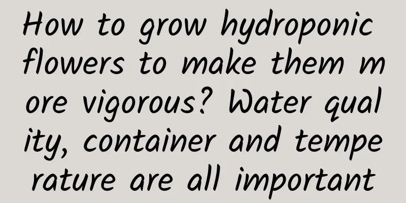 How to grow hydroponic flowers to make them more vigorous? Water quality, container and temperature are all important