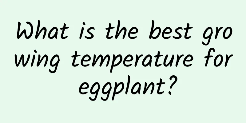 What is the best growing temperature for eggplant?