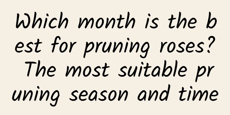 Which month is the best for pruning roses? The most suitable pruning season and time