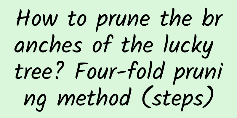 How to prune the branches of the lucky tree? Four-fold pruning method (steps)