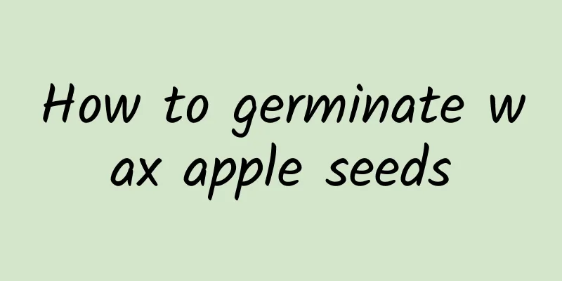 How to germinate wax apple seeds