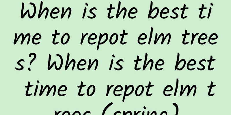 When is the best time to repot elm trees? When is the best time to repot elm trees (spring)