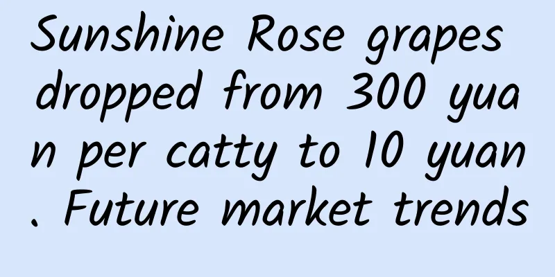 Sunshine Rose grapes dropped from 300 yuan per catty to 10 yuan. Future market trends