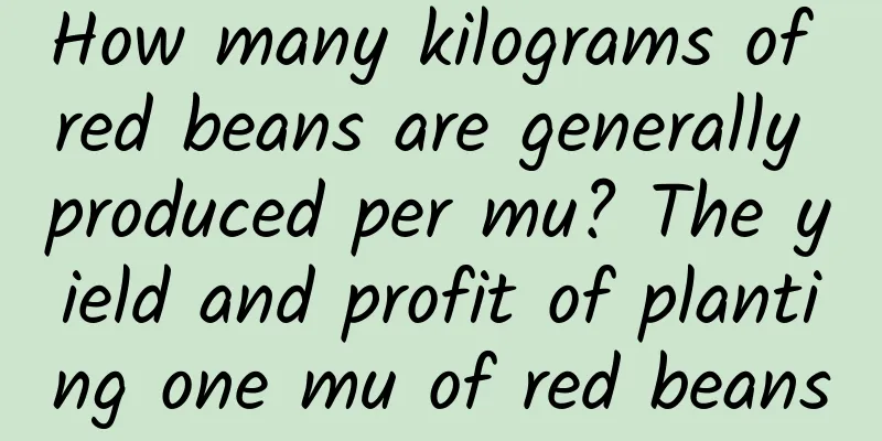 How many kilograms of red beans are generally produced per mu? The yield and profit of planting one mu of red beans