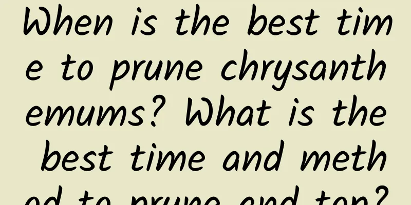 When is the best time to prune chrysanthemums? What is the best time and method to prune and top?
