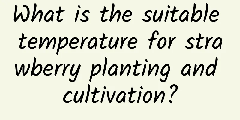 What is the suitable temperature for strawberry planting and cultivation?