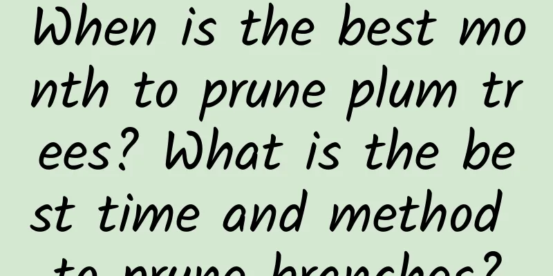 When is the best month to prune plum trees? What is the best time and method to prune branches?
