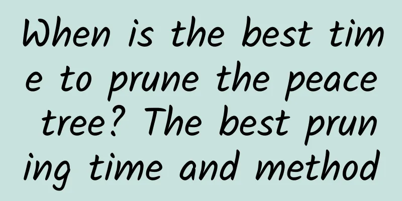When is the best time to prune the peace tree? The best pruning time and method