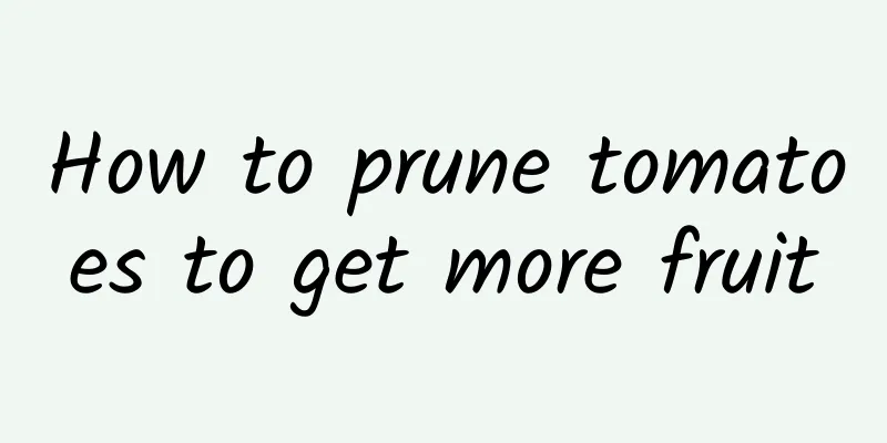 How to prune tomatoes to get more fruit