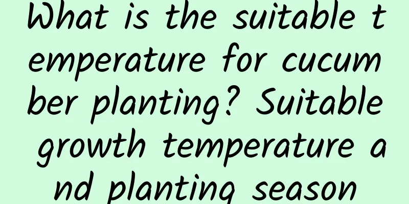 What is the suitable temperature for cucumber planting? Suitable growth temperature and planting season