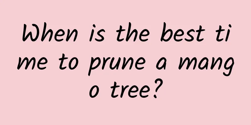 When is the best time to prune a mango tree?