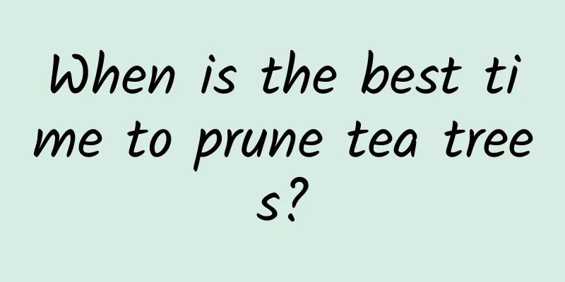 When is the best time to prune tea trees?