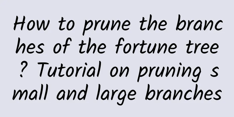 How to prune the branches of the fortune tree? Tutorial on pruning small and large branches