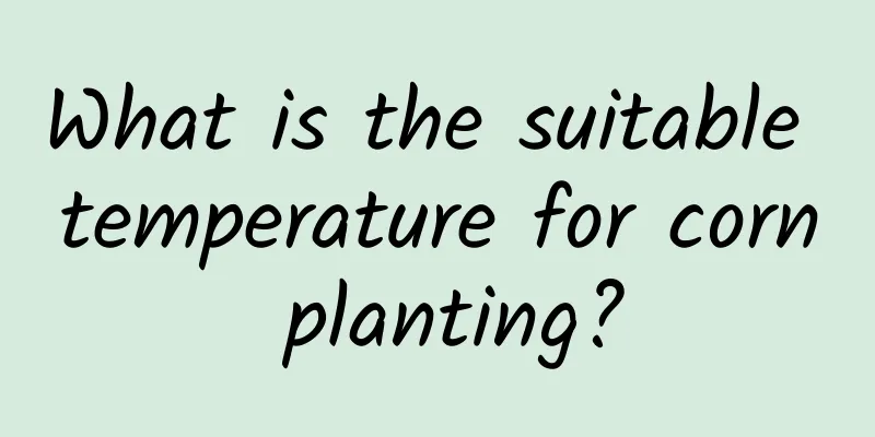 What is the suitable temperature for corn planting?