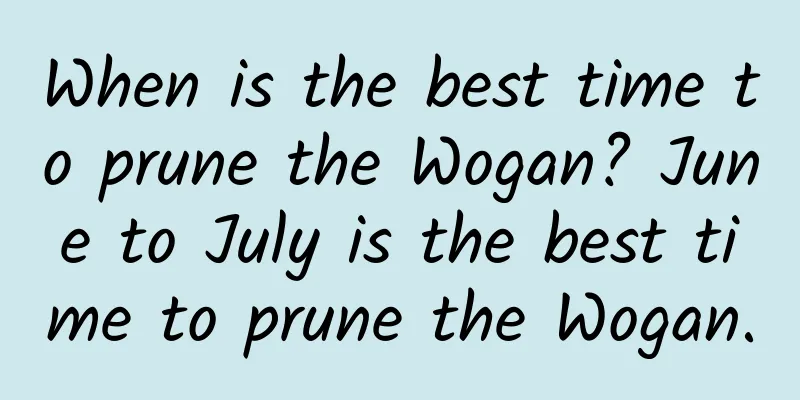 When is the best time to prune the Wogan? June to July is the best time to prune the Wogan.