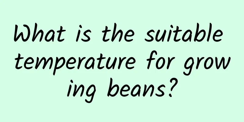 What is the suitable temperature for growing beans?