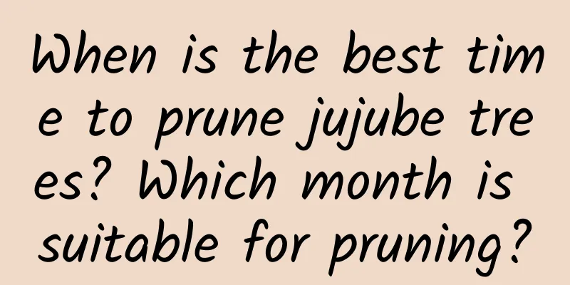 When is the best time to prune jujube trees? Which month is suitable for pruning?