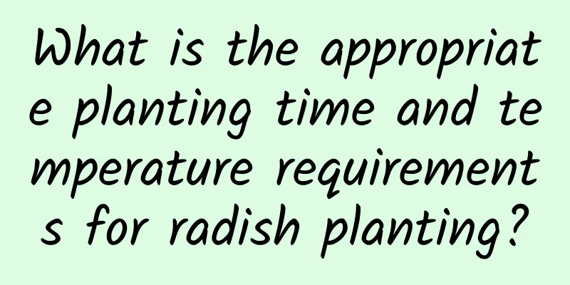What is the appropriate planting time and temperature requirements for radish planting?