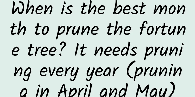 When is the best month to prune the fortune tree? It needs pruning every year (pruning in April and May)