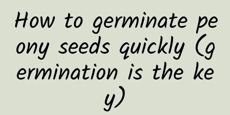 How to germinate peony seeds quickly (germination is the key)