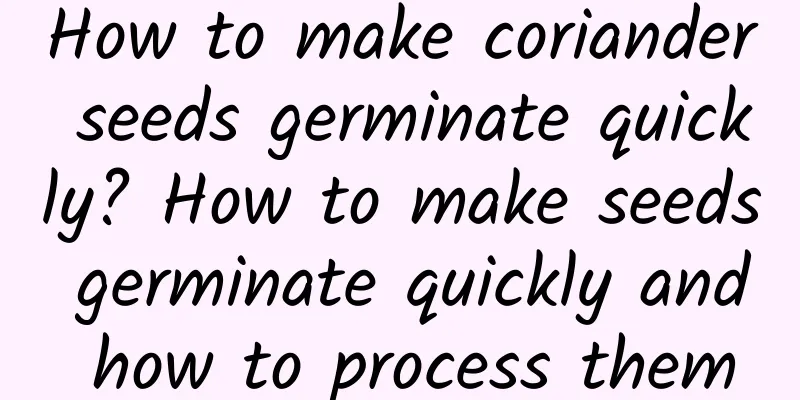 How to make coriander seeds germinate quickly? How to make seeds germinate quickly and how to process them