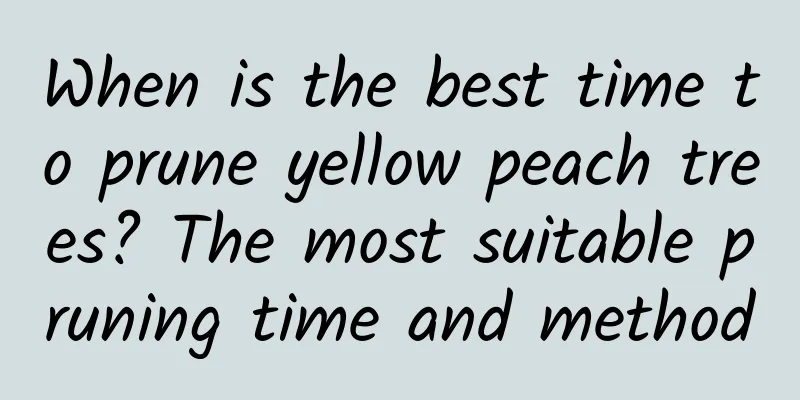 When is the best time to prune yellow peach trees? The most suitable pruning time and method