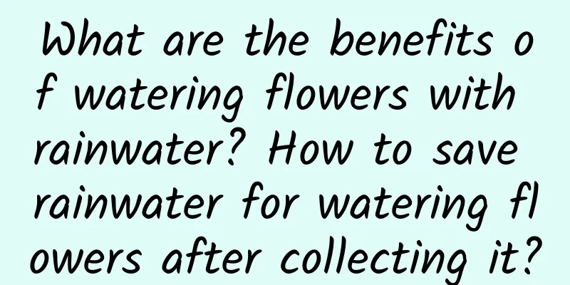 What are the benefits of watering flowers with rainwater? How to save rainwater for watering flowers after collecting it?