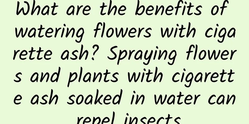 What are the benefits of watering flowers with cigarette ash? Spraying flowers and plants with cigarette ash soaked in water can repel insects