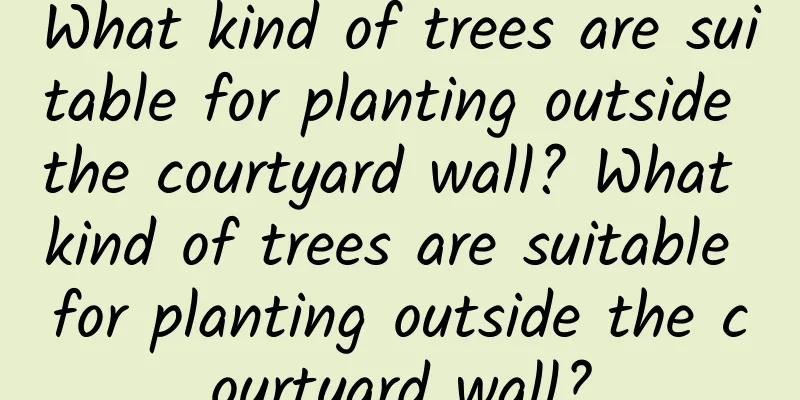 What kind of trees are suitable for planting outside the courtyard wall? What kind of trees are suitable for planting outside the courtyard wall?