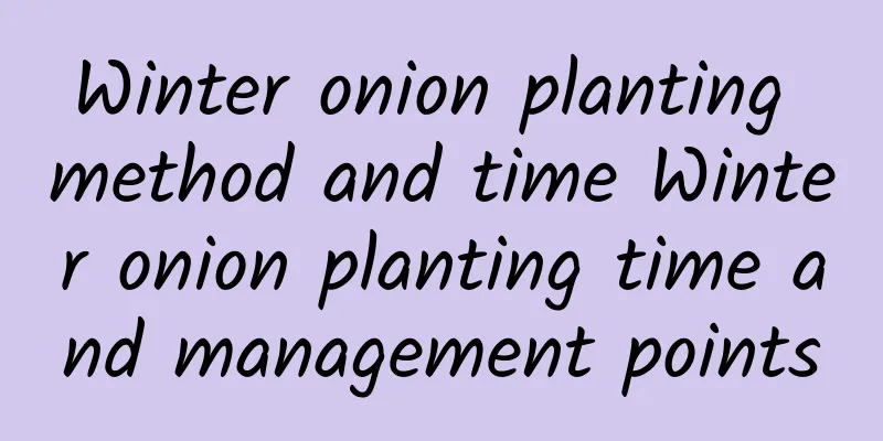 Winter onion planting method and time Winter onion planting time and management points