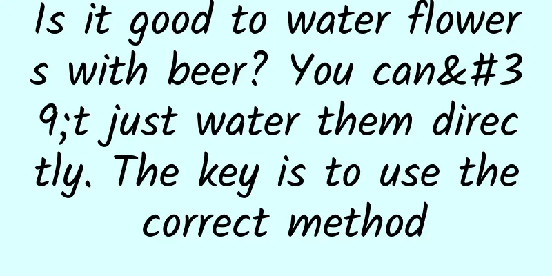 Is it good to water flowers with beer? You can't just water them directly. The key is to use the correct method