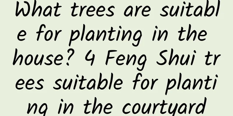 What trees are suitable for planting in the house? 4 Feng Shui trees suitable for planting in the courtyard