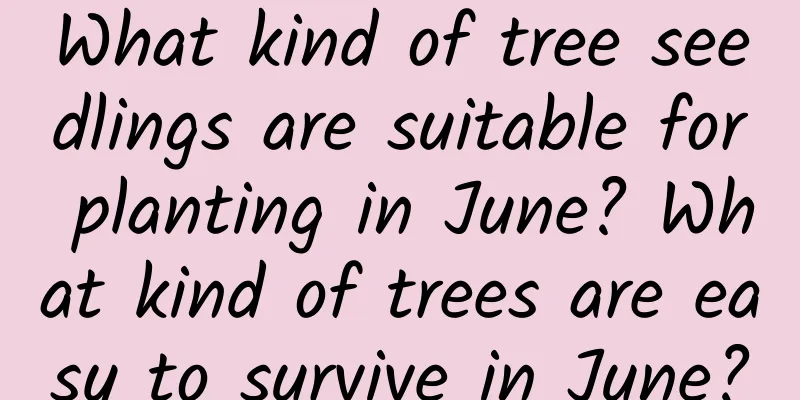What kind of tree seedlings are suitable for planting in June? What kind of trees are easy to survive in June?