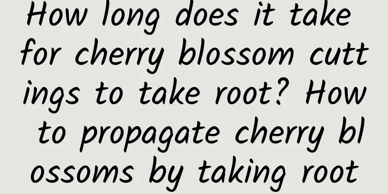 How long does it take for cherry blossom cuttings to take root? How to propagate cherry blossoms by taking root