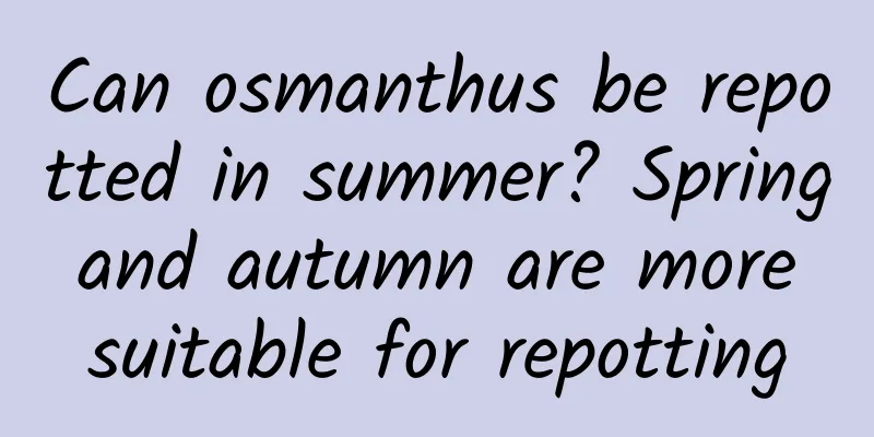 Can osmanthus be repotted in summer? Spring and autumn are more suitable for repotting