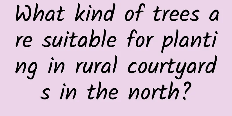 What kind of trees are suitable for planting in rural courtyards in the north?