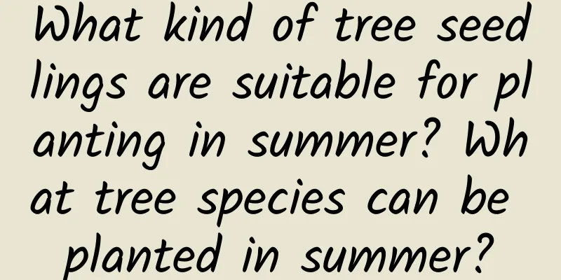 What kind of tree seedlings are suitable for planting in summer? What tree species can be planted in summer?
