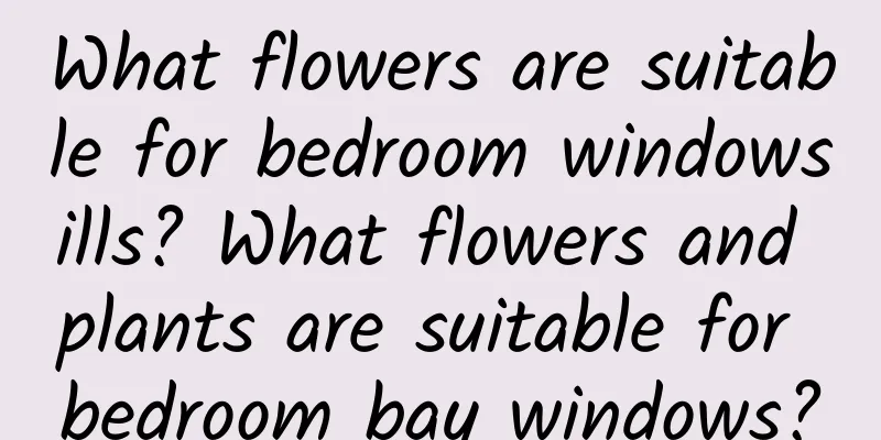 What flowers are suitable for bedroom windowsills? What flowers and plants are suitable for bedroom bay windows?